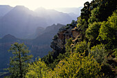 South Rim Grand Canyon National Park Arizona, USA