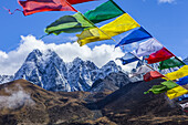 Colourful prayer flags flap in the wind, with freshly dusted, snow-covered Himalayan peaks, and autumn coloured tundra in the background in the Solokhumbu district, Sagarmatha National Park, Nepal; Solokhumbu District, Nepal