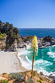 The McWay Falls waterfall falls onto the beach in Big Sur's Julia Pfeiffer Burns State Park; Big Sur, California, United States of America