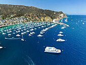 Überblick über Boote im Hafen von Avalon Harbor; Catalina Island, Kalifornien, Vereinigte Staaten von Amerika.