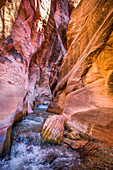 A unique hike through the Kanarraville Canyon Falls in Utah requires hiking through steams and climbing waterfalls in the middle of giant red rock canyons; Kanarraville, Utah, United States of America