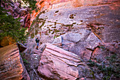 A unique hike through the Kanarraville Canyon Falls in Utah requires hiking through streams and climbing waterfalls in the middle of giant red rock canyons; Kanarraville, Utah, United States