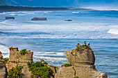 Krähenscharben (Phalacrocoracidae) auf den einzigartigen geologischen Merkmalen der Pancake Rocks, die am Dolomite Point in der Nähe der Siedlung Punakaiki am Rande des Paparoa-Nationalparks zu finden sind; Westküste, Neuseeland.