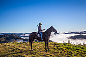 Reisende von der Blue Duck Lodge, einer Rinderfarm mit Schwerpunkt Naturschutz, beobachten den Sonnenaufgang auf dem Pferderücken und genießen die Aussicht auf den Whanganui-Nationalpark; Retaruke, Manawatu-Wanganui, Neuseeland.