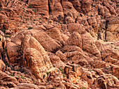 Detail von zerklüfteten Formationen aus rotem Fels in der Mojave-Wüste; Las Vegas, Nevada, Vereinigte Staaten von Amerika.