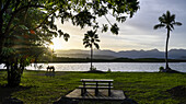 Parkanlage mit Palmen, Bänken und einem Picknicktisch in der Küstenstadt Port Douglas in Australien; Port Douglas, Queensland, Australien.