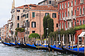 Covered gondolas moored along the canal in front of old stone buildings; Venice, Venezia, Italy