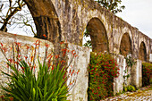 Old, arched stone walls with flowering plants along a cobblestone road in the medieval town of Obidos; Obidos, Estremadura, Oeste Region, Portugal
