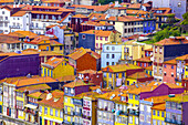 Traditionelle, farbenfrohe Stadthäuser mit ihren Ziegeldächern, die sich im alten Stadtzentrum entlang des Douro-Flusses aneinander drängen; Bezirk Ribeira, Porto, Region Norte, Portugal.