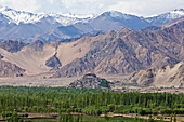 Kloster Thikse auf einem Hügel über dem Indus-Tal mit einer Landschaft aus grüner Vegetation und Bäumen unterhalb des kahlen, majestätischen Himalaya-Gebirges der tibetischen Hochebene in Ladakh, Jammu und Kaschmir; Thiksey, Ladkah, Indien.