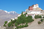 Kloster Likir auf einem Berggipfel über dem Indus-Tal mit seinen weiß getünchten Gebäuden in den Himalaya-Bergen von Ladakh, Jammu und Kaschmir; Likir, Ladakh, Indien.