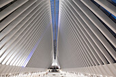 Innenansicht des Oculus, der Endstation des World Trade Centers, eines von Santiago Calatrava entworfenen Verkehrs- und Einkaufszentrums, das einer fliegenden Taube ähnelt und dessen Stahlrippen eine Kuppel über der Haupthalle bilden; New York City, New York, Vereinigte Staaten von Amerika.