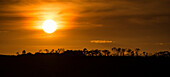 Goldener Sonnenaufgang über Westaustralien über dem Horizont von silhouettierten Bäumen am King George River in den Kimberley; Westaustralien, Australien