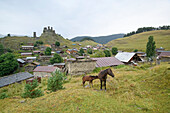 Ein Fohlen und seine Mutter (Equus ferus caballus) grasen auf einem Feld vor dem Dorf Omalo mit der mittelalterlichen Festung und den Turmhäusern von Keselo auf dem Berggipfel in der Ferne im Tuscheti-Nationalpark; Omalo, Kachetien, Georgien.