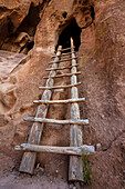 Eine Holzleiter in den Pueblo-Ruinen führt zu einer Höhlenwohnung der Pueblo-Vorfahren; Bandelier National Monument, New Mexico, Vereinigte Staaten von Amerika.