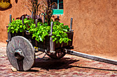 A wooden, wagon planter adorns the cobblestone streets outside of a building in the old town of Taos; Taos, New Mexico, United States of America