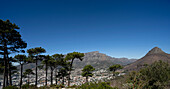 Blick durch die Bäume vom Signal Hill Park auf einen Überblick über die Skyline von Kapstadt mit dem Tafelberg und dem Lion's Head; Kapstadt, Kap-Provinz, Südafrika.