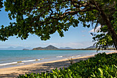 Sandy beach of the Coral Sea shaded with mangroves lining the shoreline on the Pacific Ocean Coast of Palm Cove; Palm Cove, Queensland, Australia