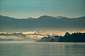 Morgendämmerung mit aufsteigendem Morgennebel über den mit Dschungel bedeckten Ufern des Ayeyarwady (Irrawaddy) in der Morgendämmerung; Ländlicher Dschungel, Kachin, Myanmar (Burma)