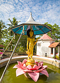Wasserbrunnen mit einer stehenden Buddha-Statue auf einer steinernen Lotusblüte auf dem Gelände des buddhistischen Klosters Galagoda Shailatharama Viharaya; Balapitiya, Galle District, Sri Lanka.