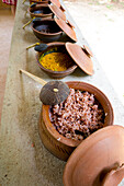Reihe von Tontöpfen und Kokosnussschalenlöffeln auf einer Steinbank, auf der traditionelle srilankische Gerichte bei einer Kochvorführung in einer ländlichen Kochschule in der Nähe von Galle gezeigt werden; Galle, Galle District, Sri Lanka.