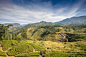 Overlooking the countryside and Tea Estates with tea bushes planted in circular patterns near Nanu Oya in the Hill Country; Dikoya, Nuwara Eliya District, Central Province, Sri Lanka