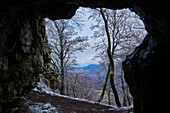 View out of a cave with snowy European beech (Fagus sylvatica) trees at Mount Vapec in the Strazov Mountains; Little Fatra (Kleine Fatra), Western Carpathian Mountains, Horna Poruba, Slovakia