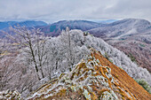 Verschneite Rotbuchen (Fagus sylvatica) auf dem Gipfel des Berges Vapec im Strazov-Gebirge mit Blick auf die Landschaft; Kleine Fatra, Westkarpaten, Horna Poruba, Slowakei.