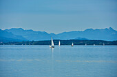 Sailing boats on Lake Chiemsee on a sunny day; Bavaria, Germany