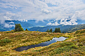 Pond in a grassy field on Mount Schüttenhöhe with conifer trees and clouds over the mountains above Zell am See, Kaprun; Salzburg State, Austria