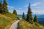 Walking Trail at Mount Schüttenhöhe with view of the mountains above Zell am See, Kaprun; Salzburg State, Austria