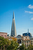 Transamerica Pyramid Skyscraper And Row Houses; San Francisco California United States Of America