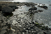 Black Basalt Columns Sticking Out Of The Sea, Giant's Causeway, Northern Ireland, United Kingdom