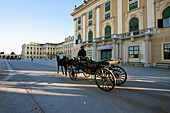 Fiaker (Viennese two-horse hackney carriage) at Schonbrunn Palace, Vienna (Wien), Austria