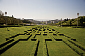 In einem Muster geschnittene Hecken im Eduardo Vii Park; Lissabon, Portugal
