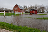 Eine rote Scheune und ein Schuppen, die nach einer Überschwemmung von Wasser umgeben sind; St. Francois Xavier Manitoba Kanada