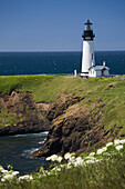 Weißer Leuchtturm am Meer mit blauem Himmel und Wildblumen; Newport Oregon Vereinigte Staaten Von Amerika
