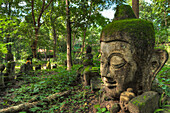 Head Statues In Wat Umong A Famous Forest Temple; Chiang Mai Thailand