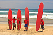 Surflehrer und Schüler mit Surfunterricht am Cerritos Beach; Todos Santos Baja California Sur Mexiko