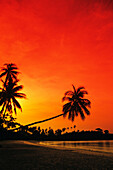 Indonesien, Ferienanlage und Strand bei Sonnenuntergang; Insel Bintan.