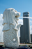 Famous Merlion Fountain with tall buildings in background; Singapore