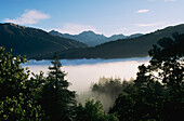 USA, Kalifornien, Nebellandschaft in einem bewaldeten Tal an der Küste; Big Sur