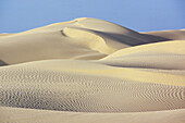 Indien, Rajasthan, Wüste Thar, Landschaft mit Dünen und Mustern im Sand.