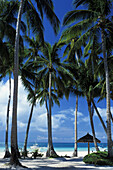 Philippines, White Sand Beach, Blue Sky, Palm Trees, Puffy White Clouds