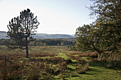 Peak-District-Nationalpark; Derbyshire England