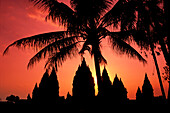 Indonesien, Java, Ansicht von Palmen und Gebäuden bei Sonnenuntergang