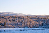 Ein Wald und ein Feld mit Schnee und Bergen im Hintergrund; West Bolton Quebec Kanada
