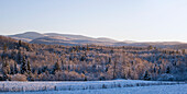 Schneebedecktes Feld und Baum mit Bergen im Hintergrund; West Bolton Quebec Kanada