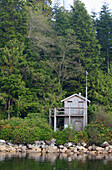 A Small Cabin Near Hot Spring Cove In Clayoquot Sound Near Tofino; British Columbia Canada