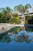 Palm Trees And Flowering Shrubs Reflecting Off A Pool; Palm Springs California United States Of America